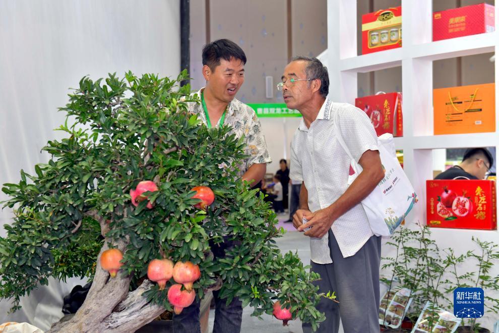 港都电子老虎机